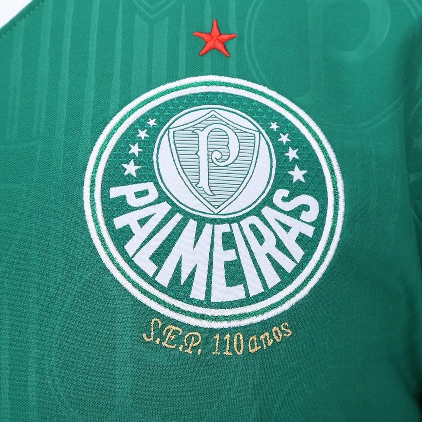 Camisa Puma Palmeiras I Home Verde 2024 - Masculina - Foto 4