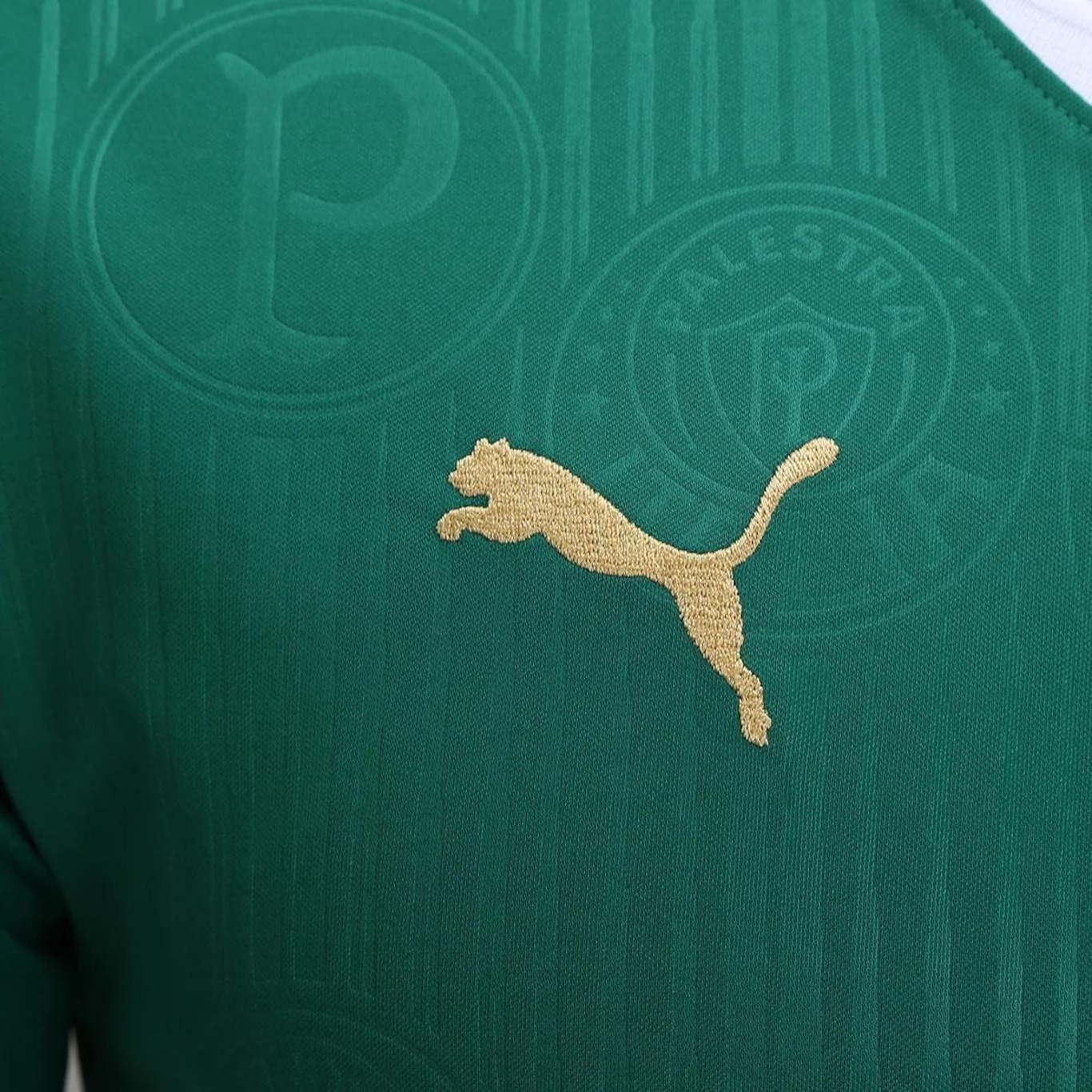 Camisa Puma Palmeiras I Home Verde 2024 - Masculina - Foto 5