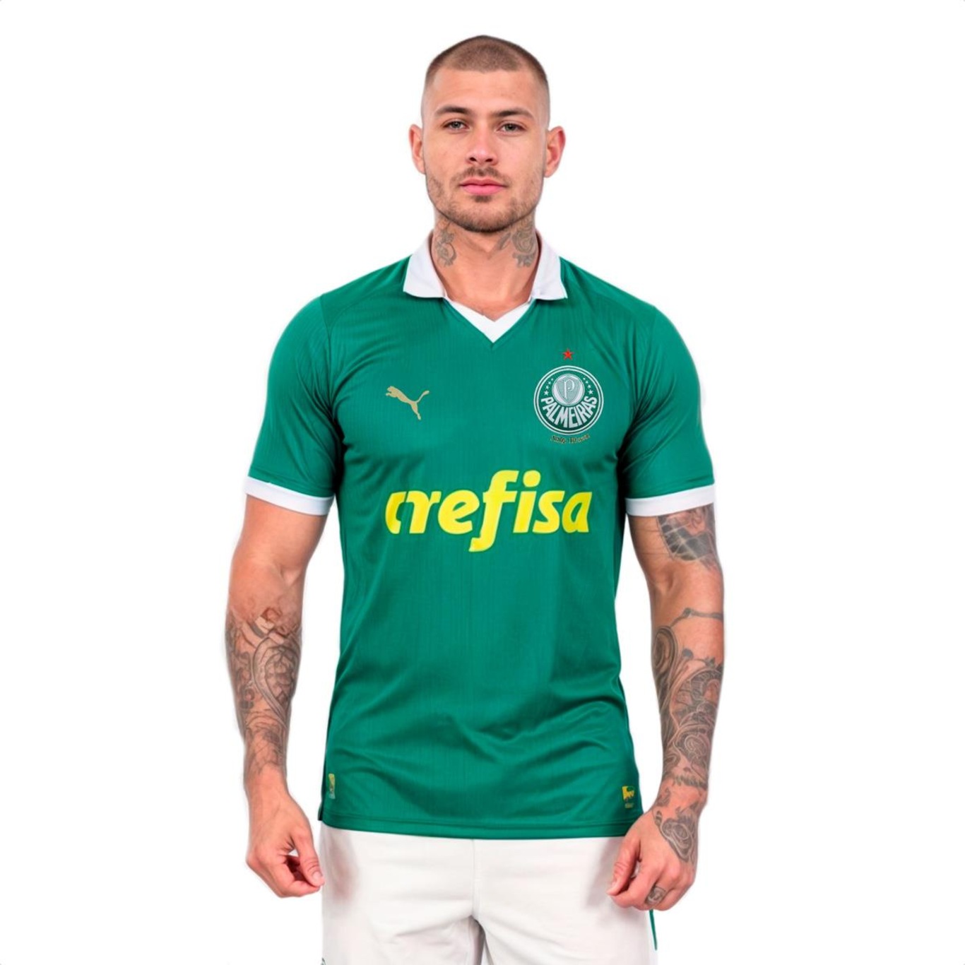 Camiseta do Palmeiras Puma 110 Anos - Masculina - Foto 1