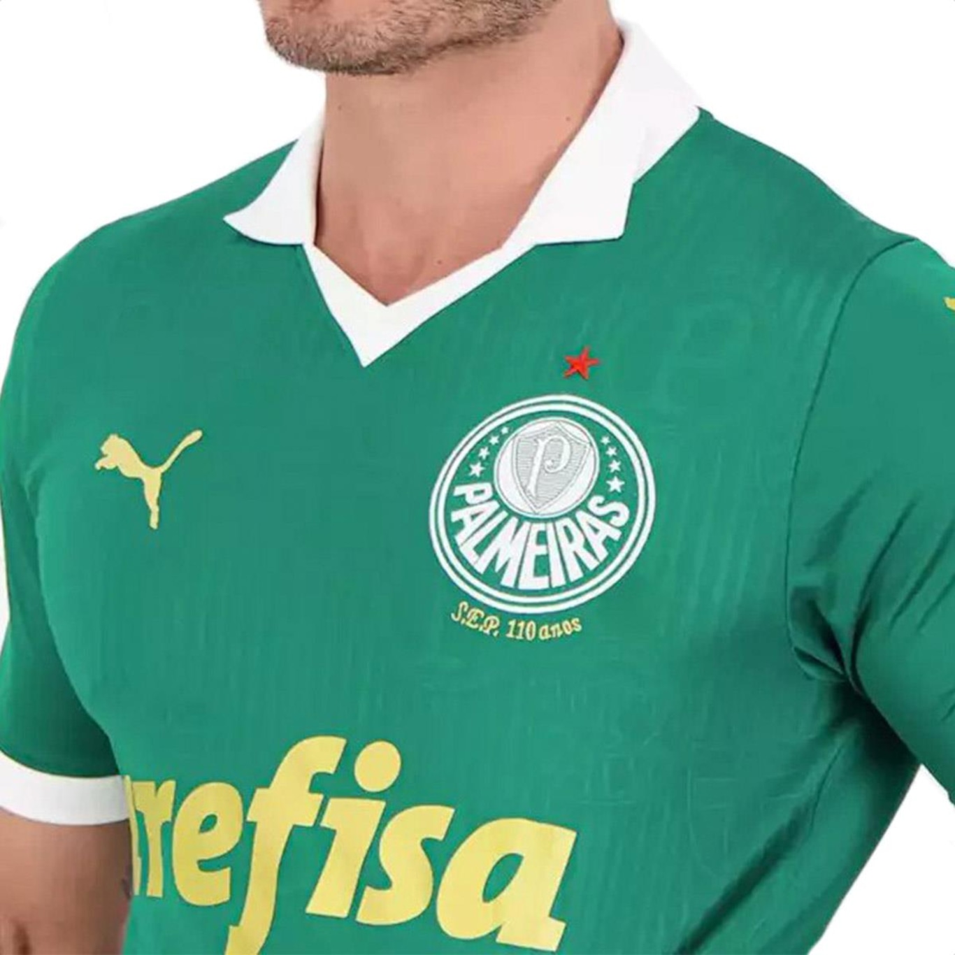 Camiseta do Palmeiras Puma 110 Anos - Masculina - Foto 3