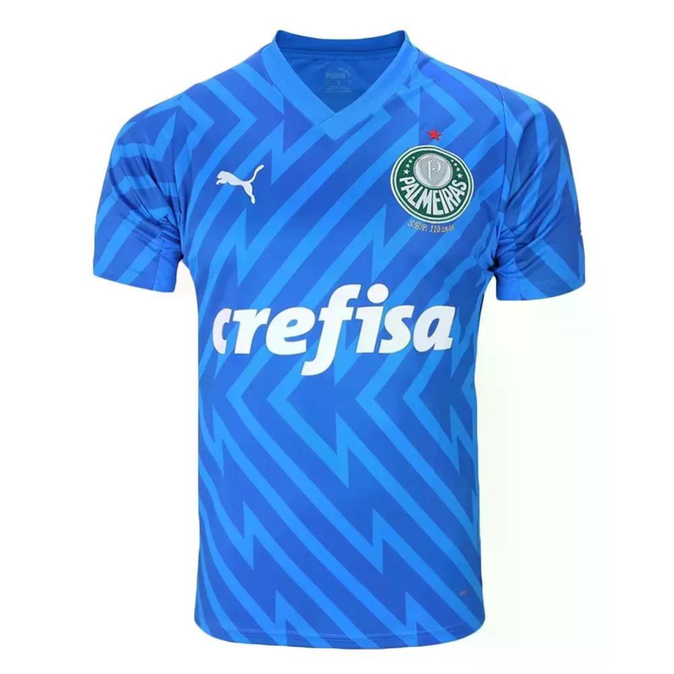 Camisa do Palmeiras Goleiro Home Jogador 24/25 Puma - Masculina - Foto 1