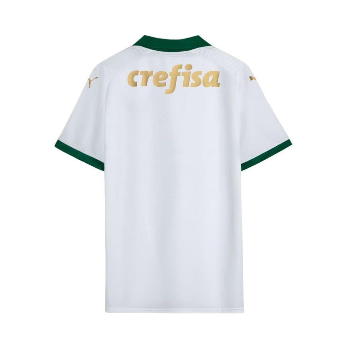 Camisa do Palmeiras Ii 24 Puma - Masculina - Foto 2