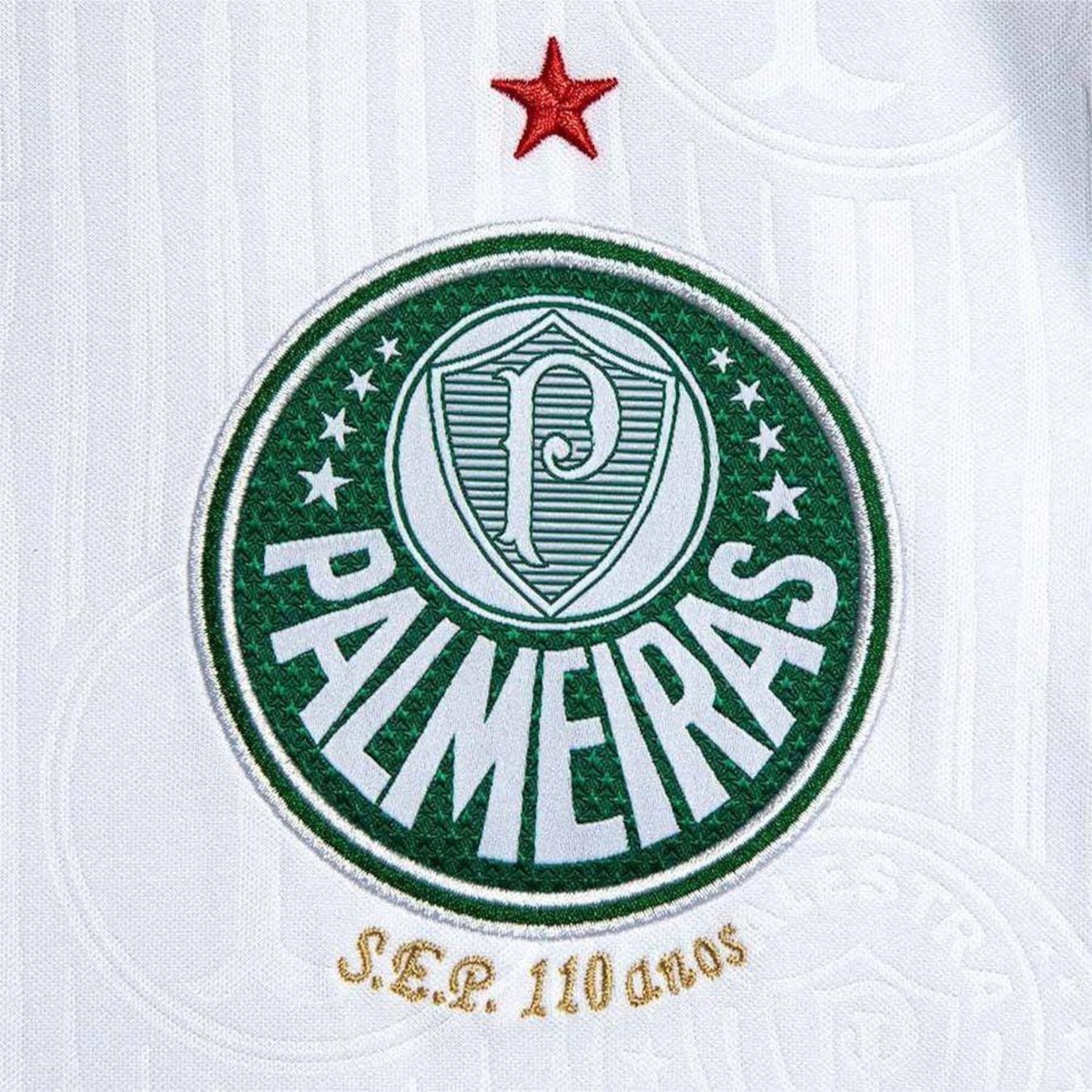 Camisa do Palmeiras Ii 24 Puma - Masculina - Foto 4