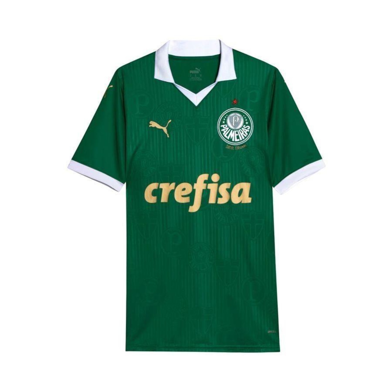 Camisa do Palmeiras I 24 Puma - Masculina - Foto 1