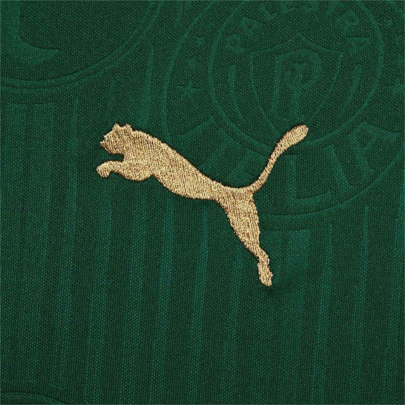 Camisa do Palmeiras I 24 Puma - Masculina - Foto 3