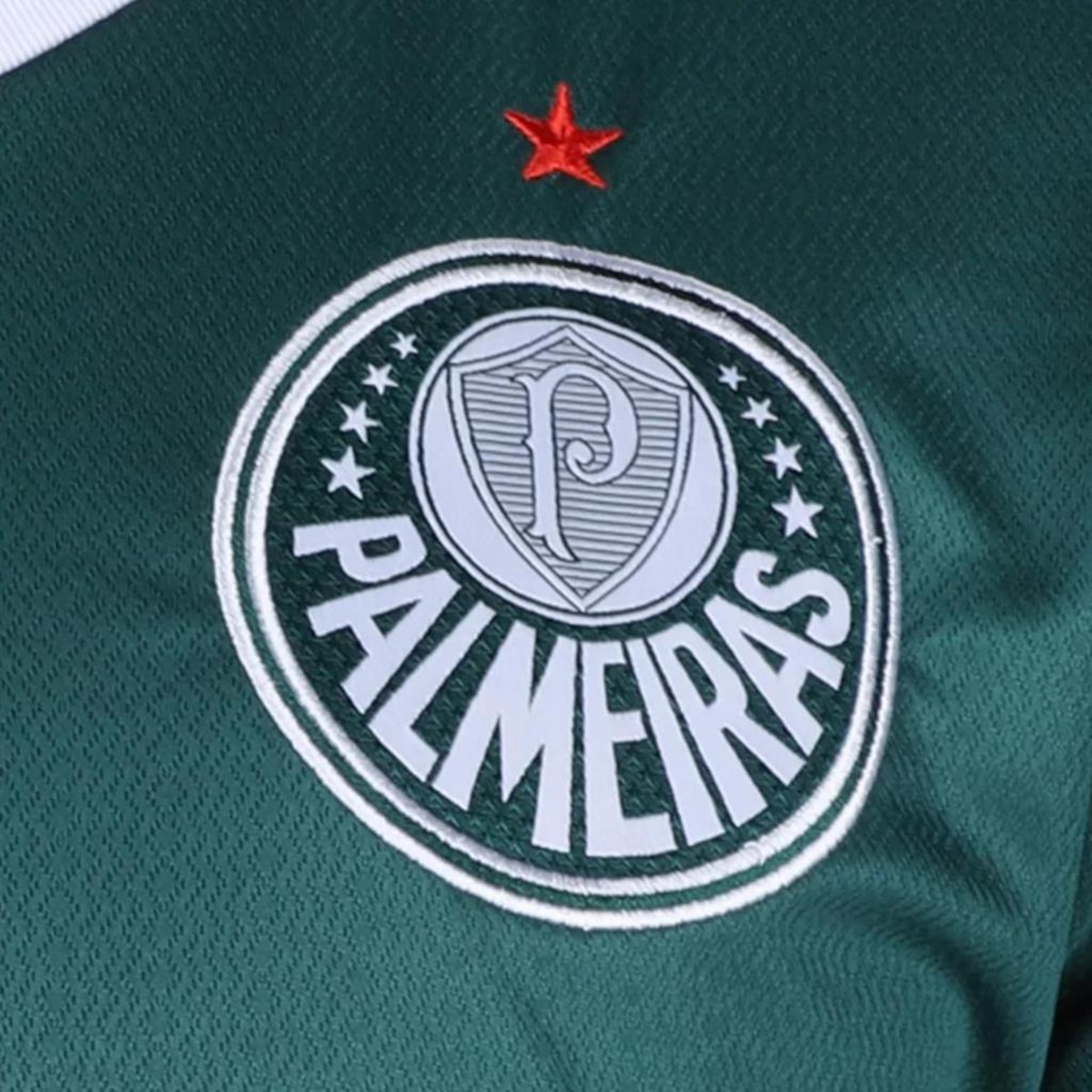 Camisa do Palmeiras I 2022 Puma - Masculina - Foto 4