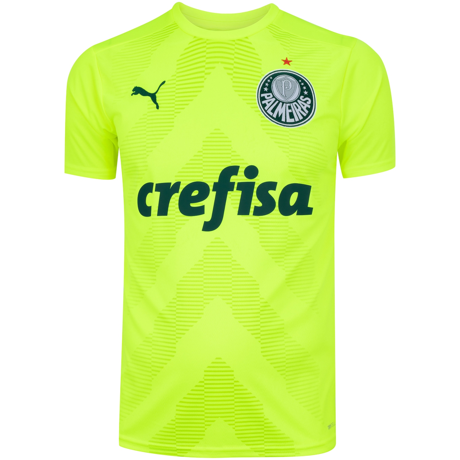 Camisa de Goleiro do Palmeiras II 22 Puma Jersey - Masculina - Foto 1
