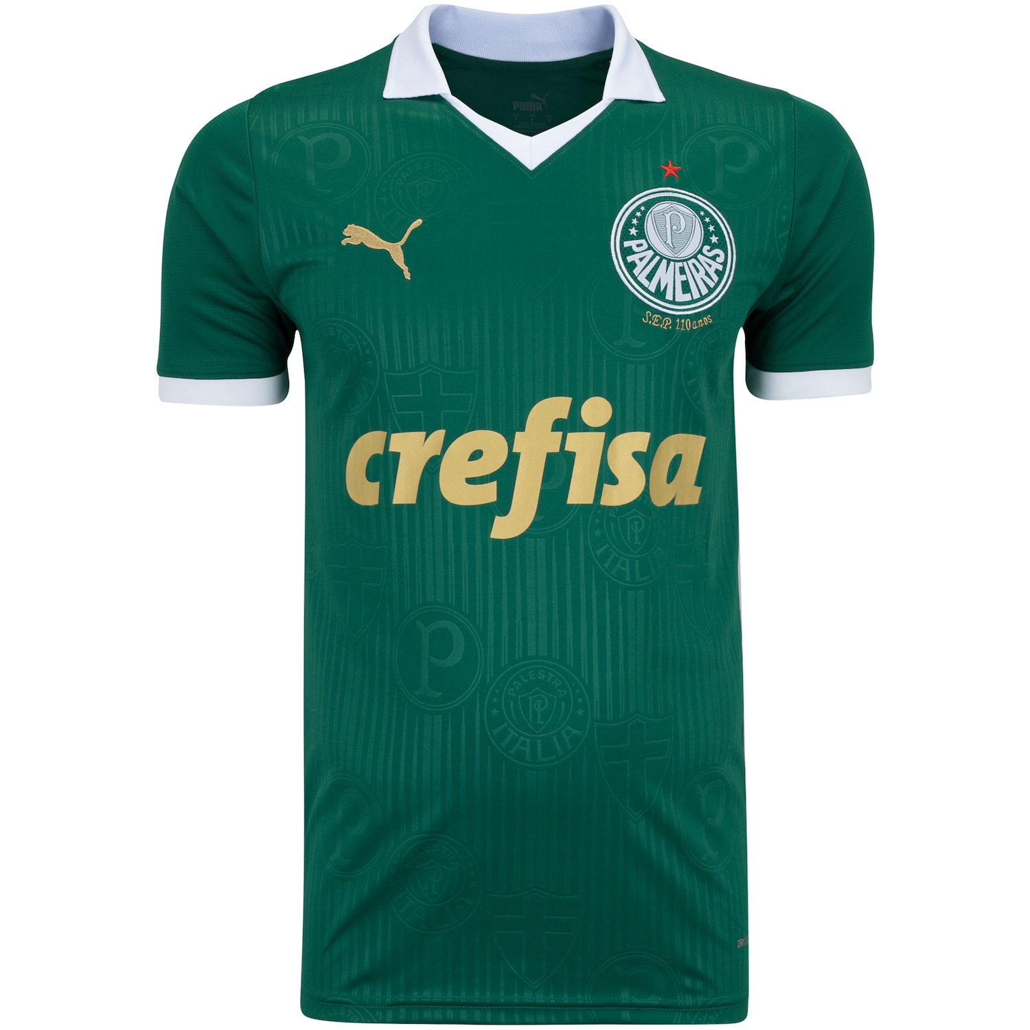 Camisa do Palmeiras I 24 Puma Masculina Torcedor - Foto 1