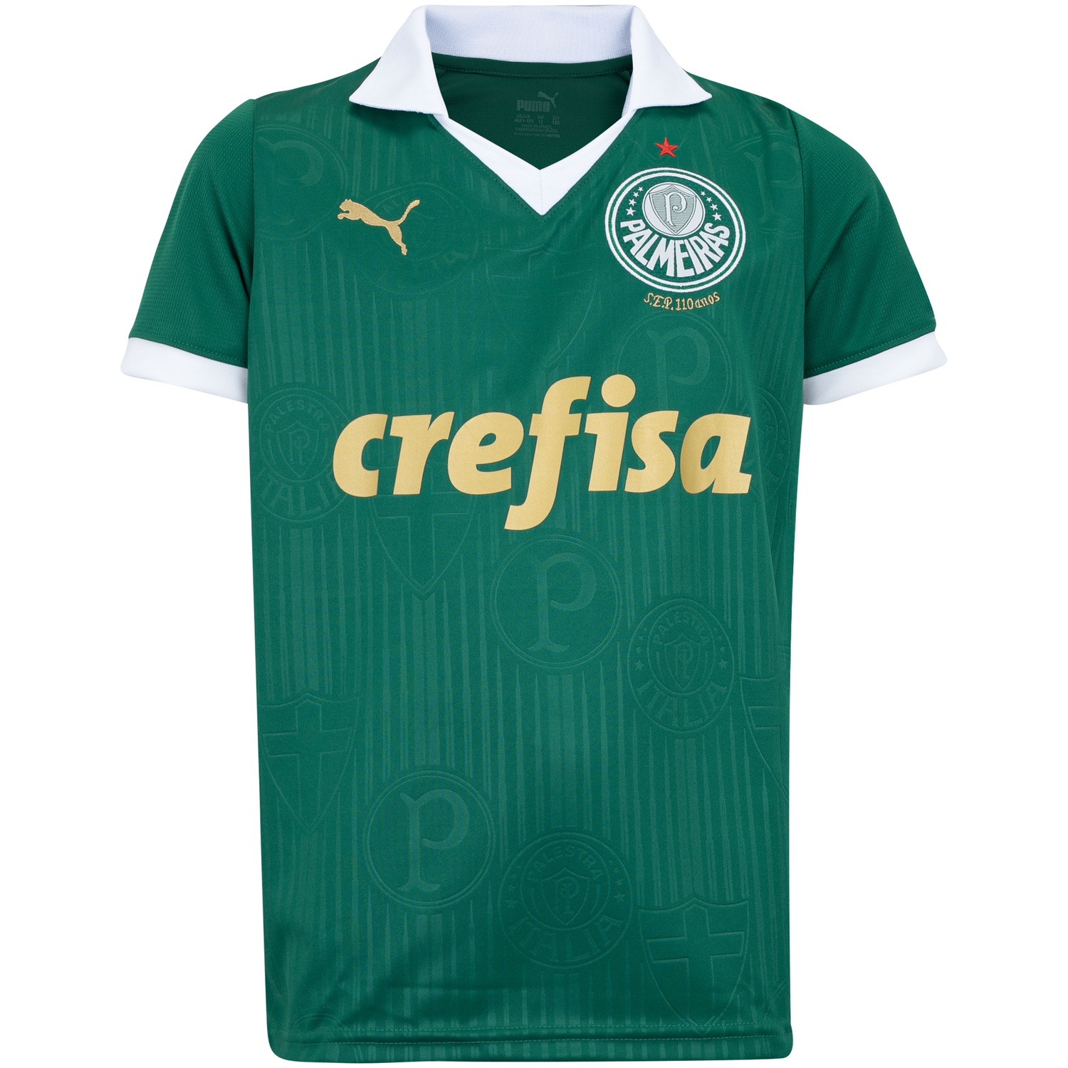 Camisa do Palmeiras I 24 Puma Juvenil Torcedor - Foto 1