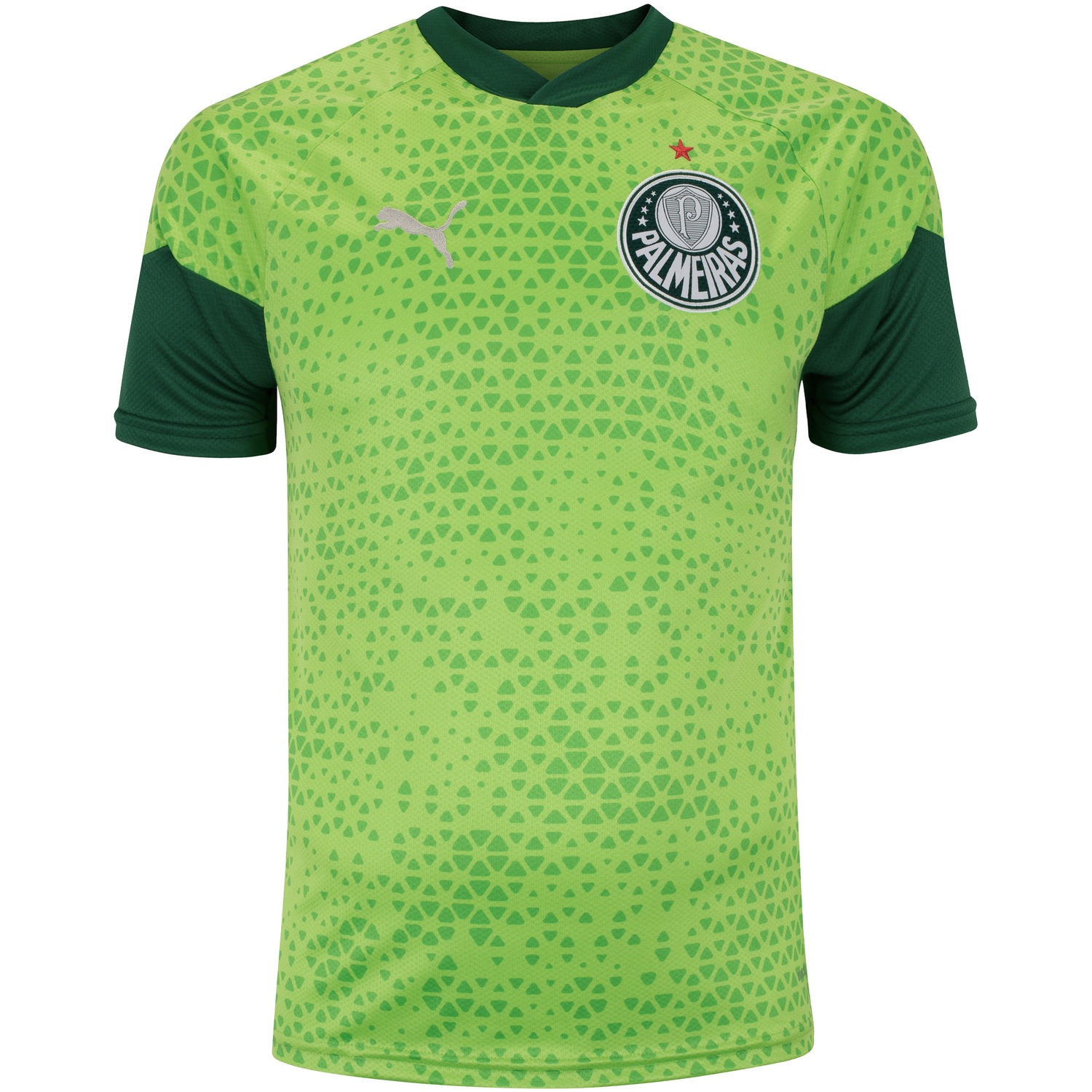 Camisa de Treino do Palmeiras 24 Puma Masculina - Foto 1