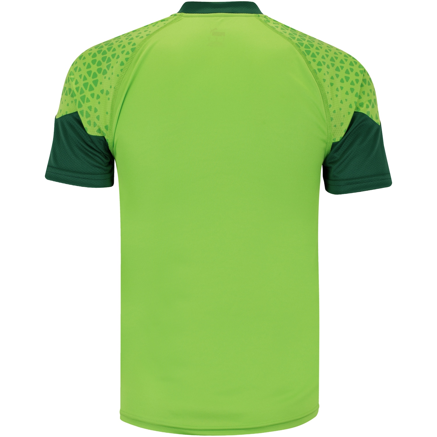 Camisa de Treino do Palmeiras 24 Puma Masculina - Foto 2