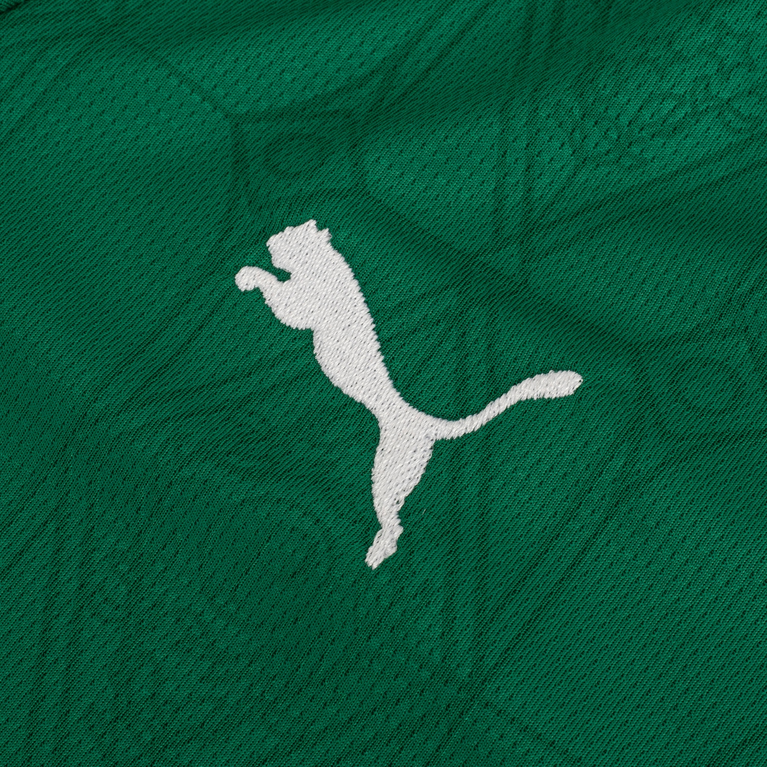 Camisa do Palmeiras I 25 Puma Infantil Torcedor - Foto 4