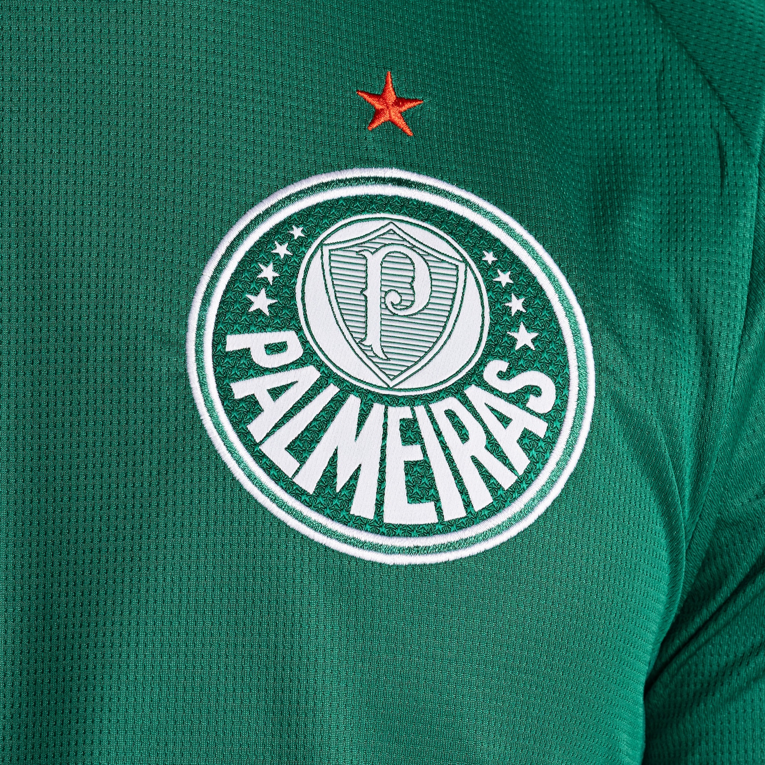 Camisa do Palmeiras I 2026 Puma Torcedor Masculina - Foto 4
