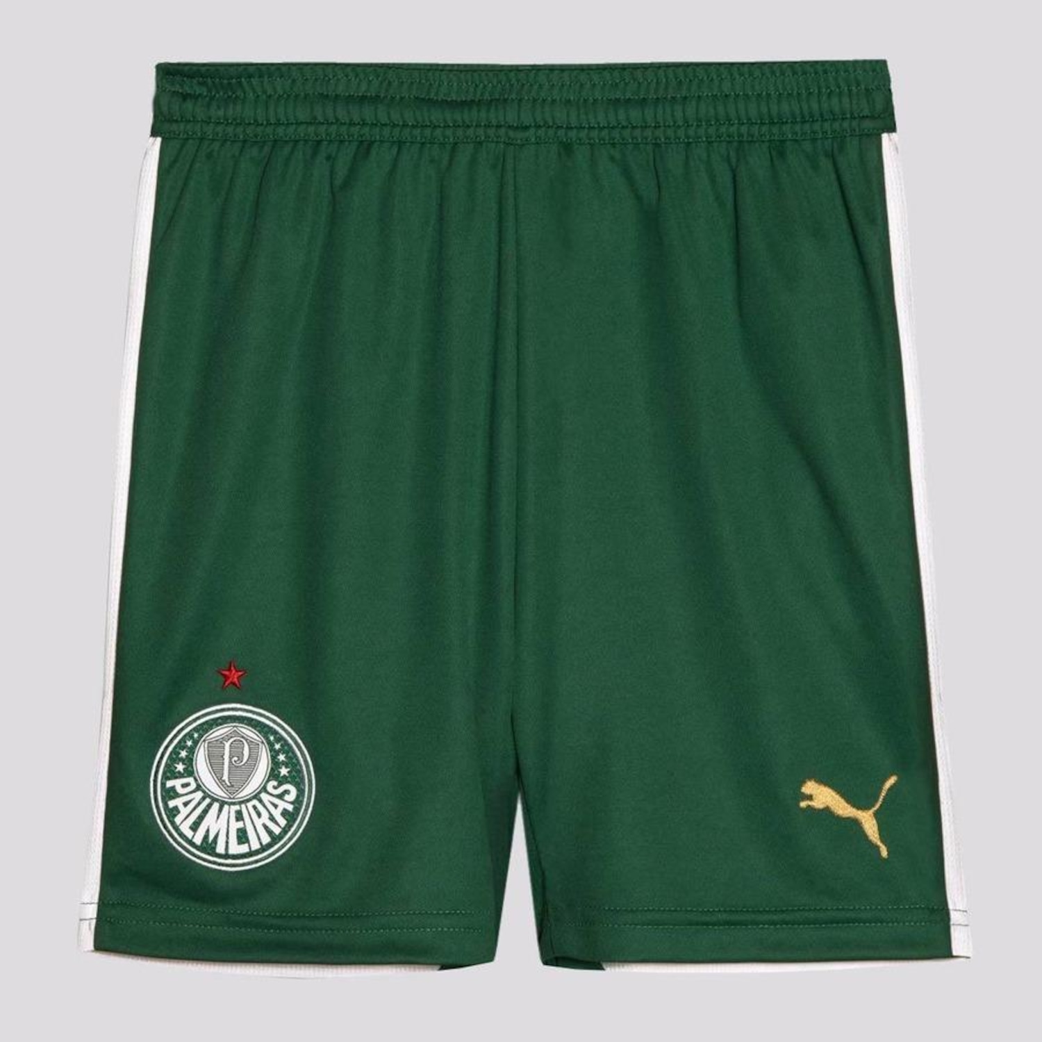 Calção do Palmeiras Ii 2024 Puma - Infantil - Foto 1
