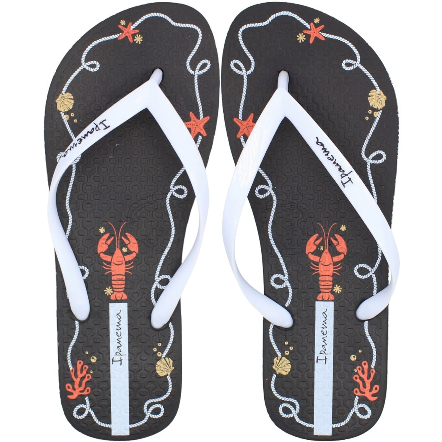 Chinelo de Dedo Feminino Ipanema Navy - Foto 1