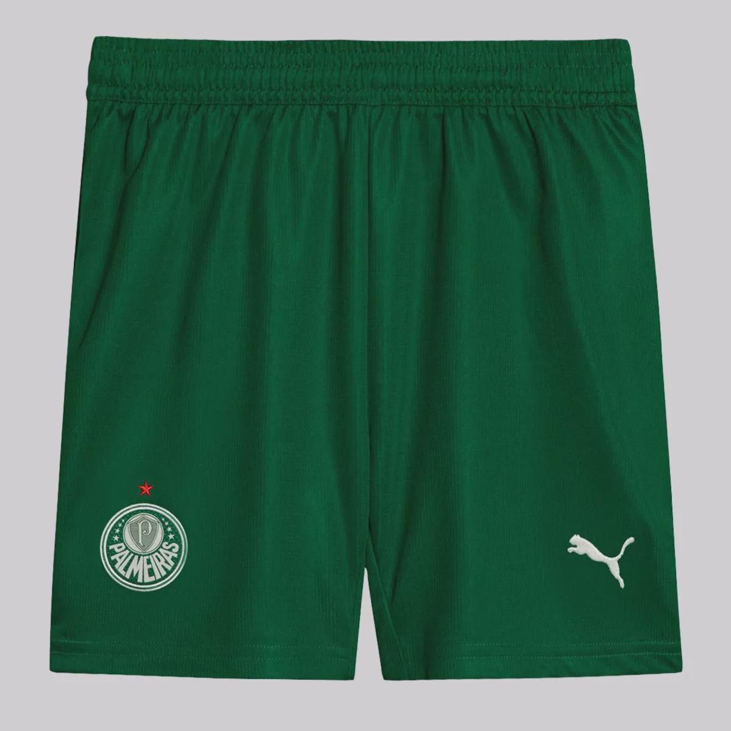 Calção Puma Palmeiras II 2025 Infantil - Foto 1