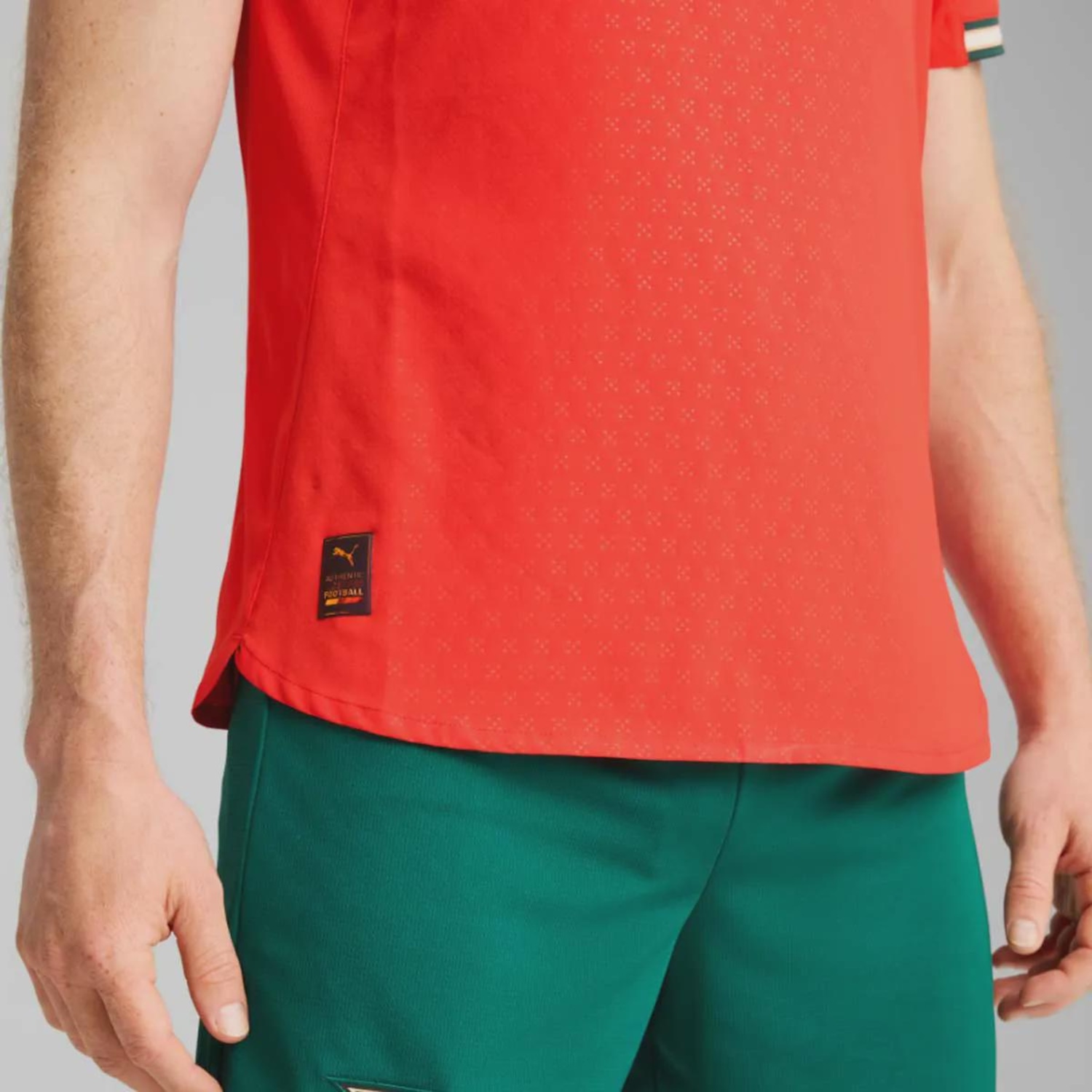 Camisa Portugal I 25/26 Jogador Puma Masculia - Foto 4
