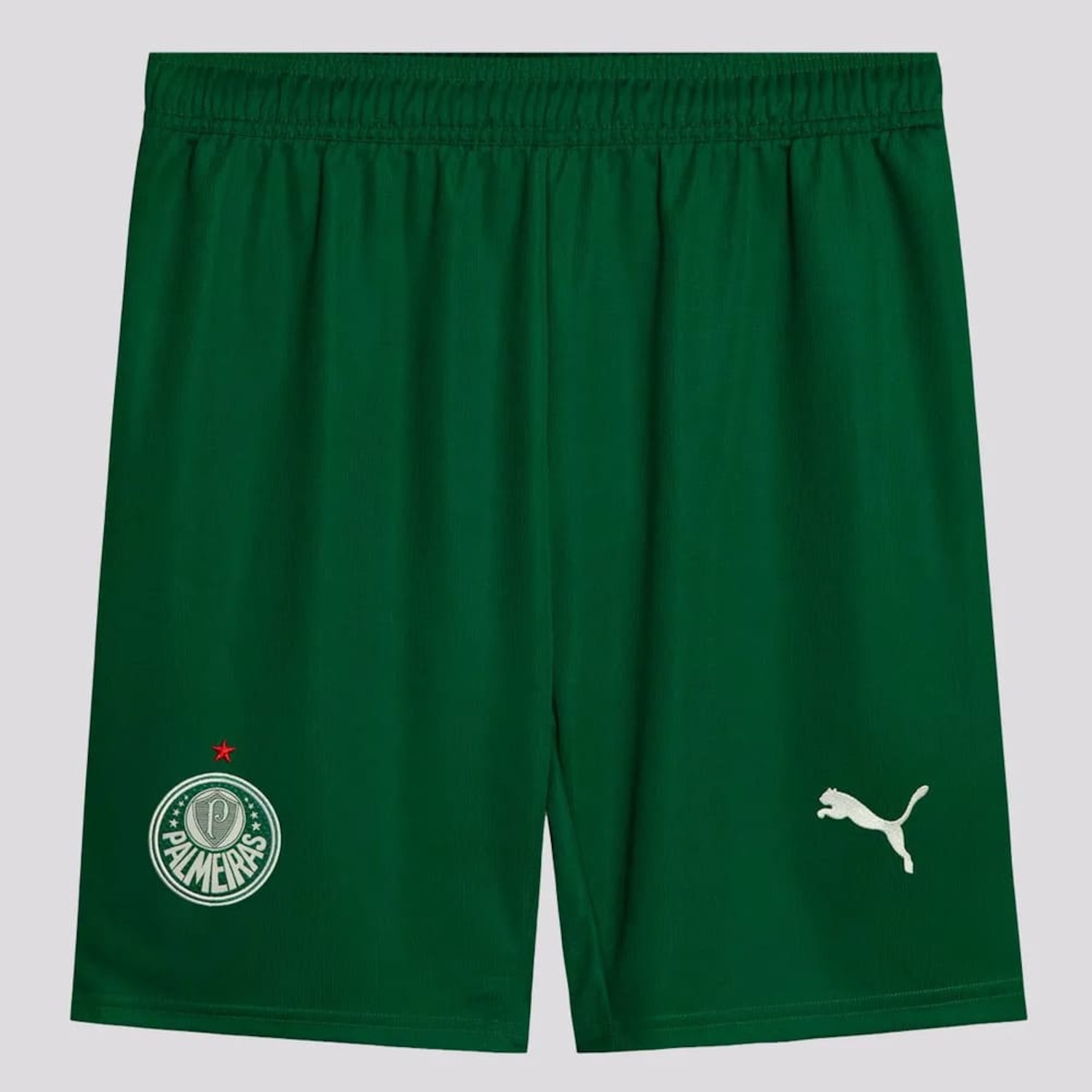 Calção Palmeiras II Puma 25/26 Masculino - Foto 1
