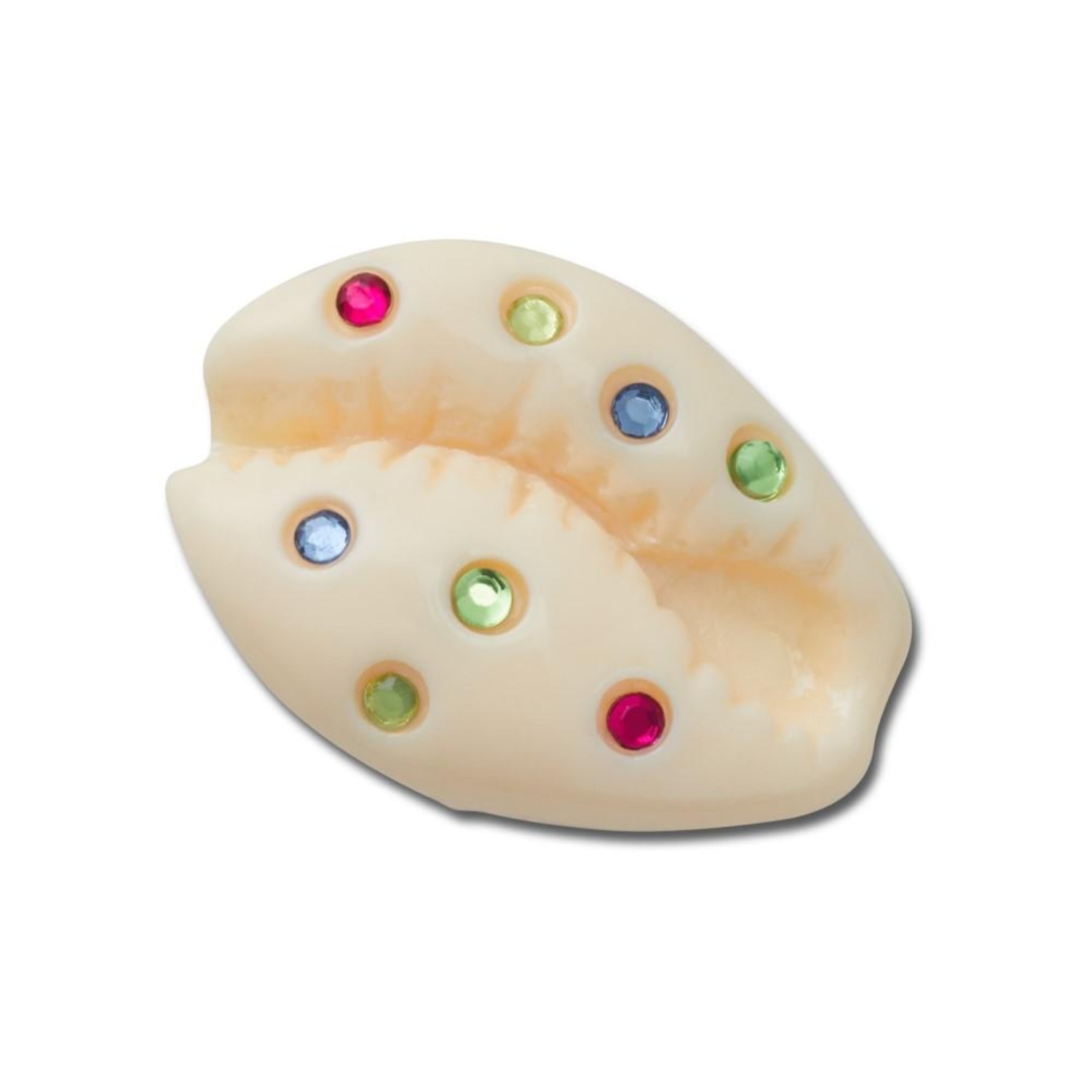 Jibbitz Crocs Concha Puka com Gemas - Foto 1