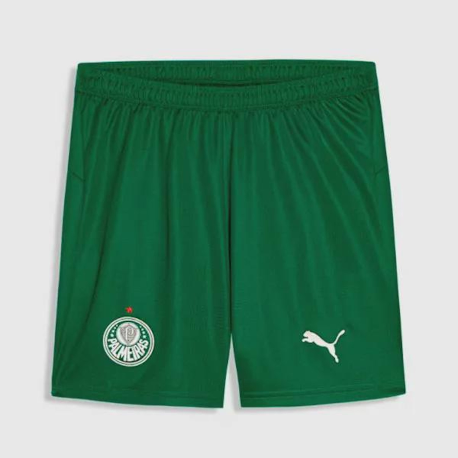 Calção do Palmeiras II 26/27 Puma Masculino - Foto 1