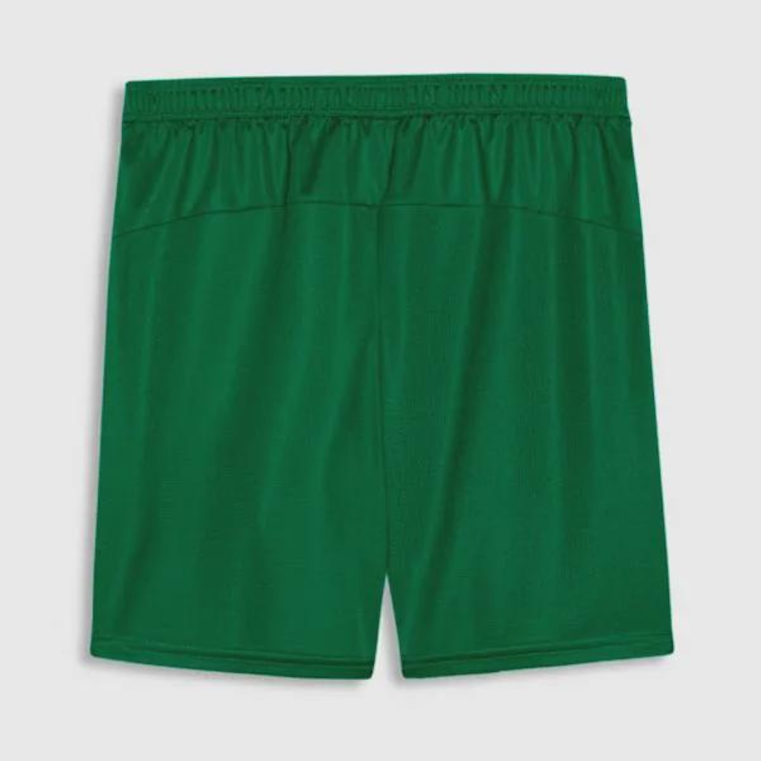 Calção do Palmeiras II 26/27 Puma Masculino - Foto 2