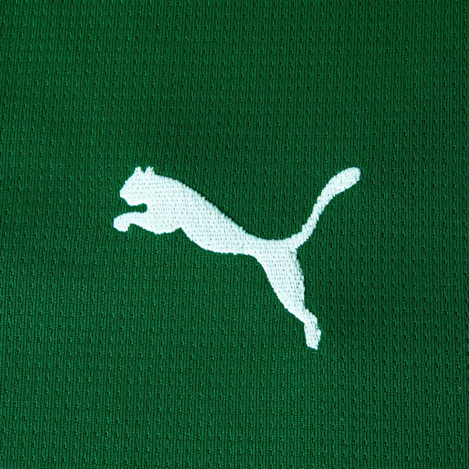Camisa Do Palmeiras Torcedor Puma I 2026 Infantil - Foto 4