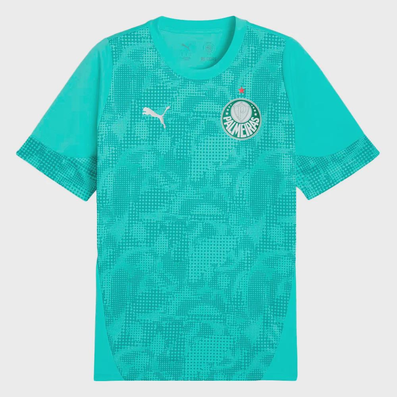 Camisa de Treino do Palmeiras 26/27 Puma Masculina - Foto 1