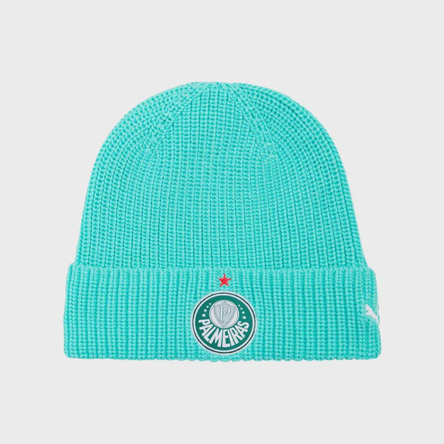 Gorro do Palmeiras Puma ESS - Foto 1