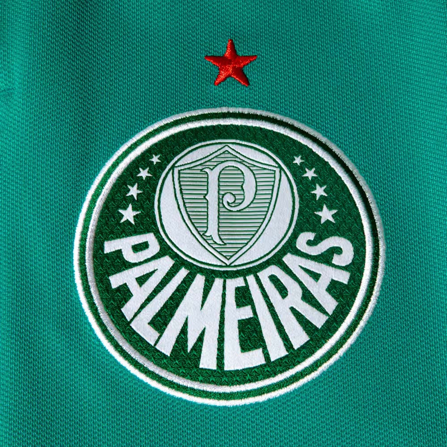Calça Puma Palmeiras Evostripe 2026 Masculina - Foto 3