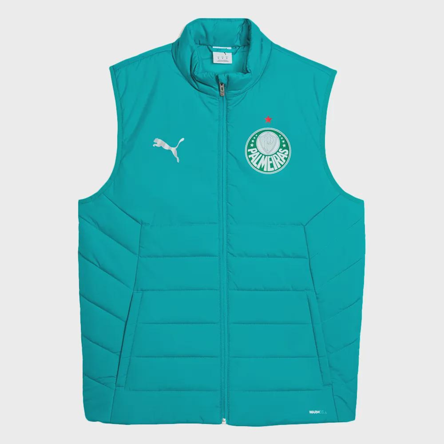 Colete do Palmeiras SE Training Puma - Masculino - Foto 1