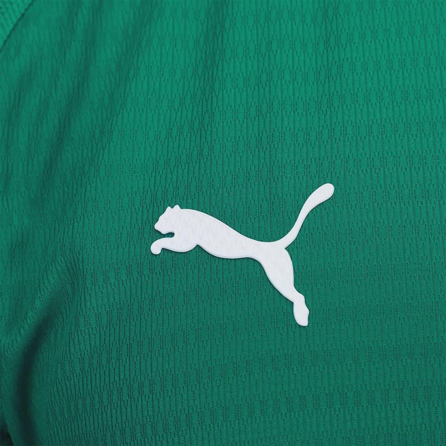 Camisa Palmeiras I 2026 Puma Jogador Masculina - Foto 4
