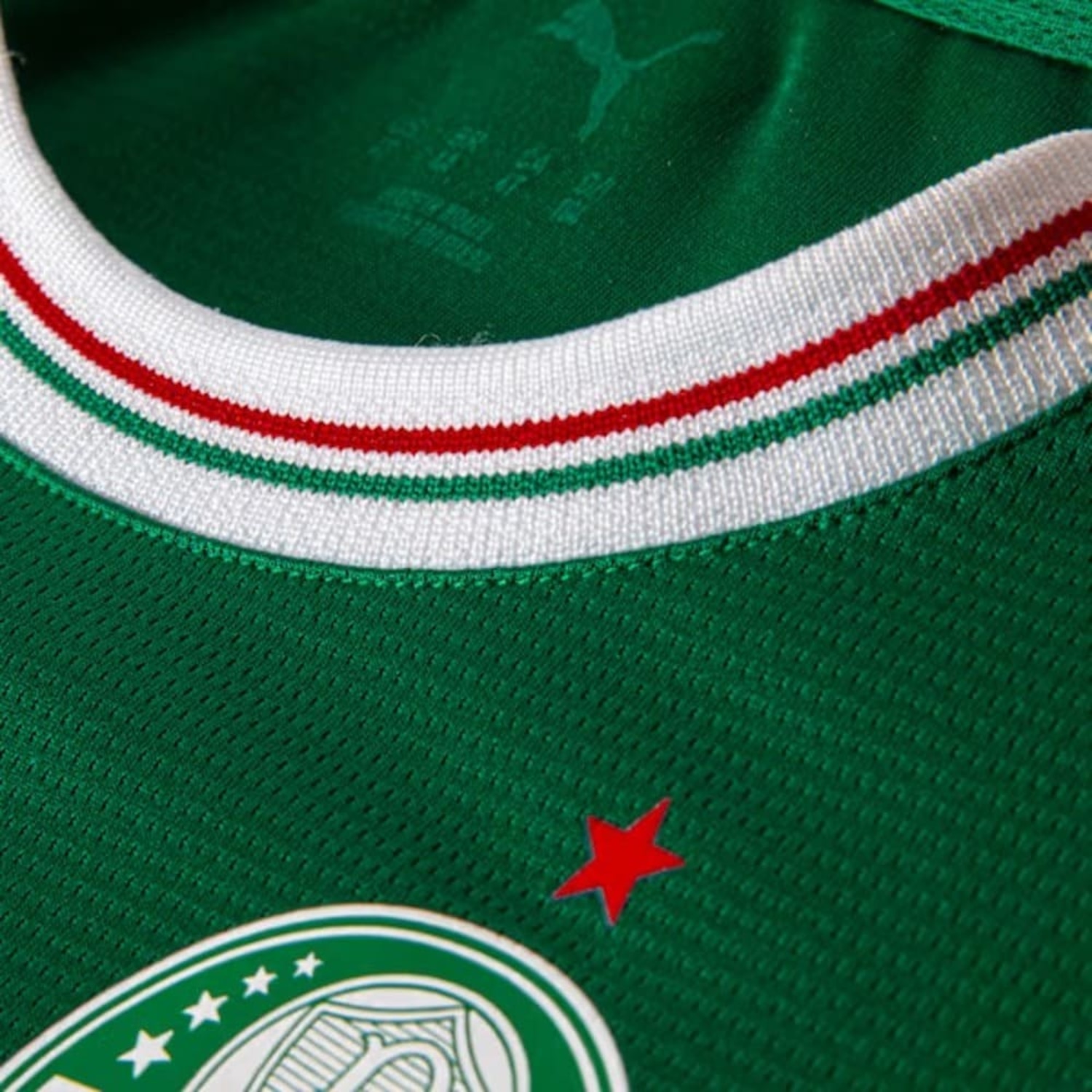 Kit do Palmeiras I 26/27 Puma Infantil - Foto 4