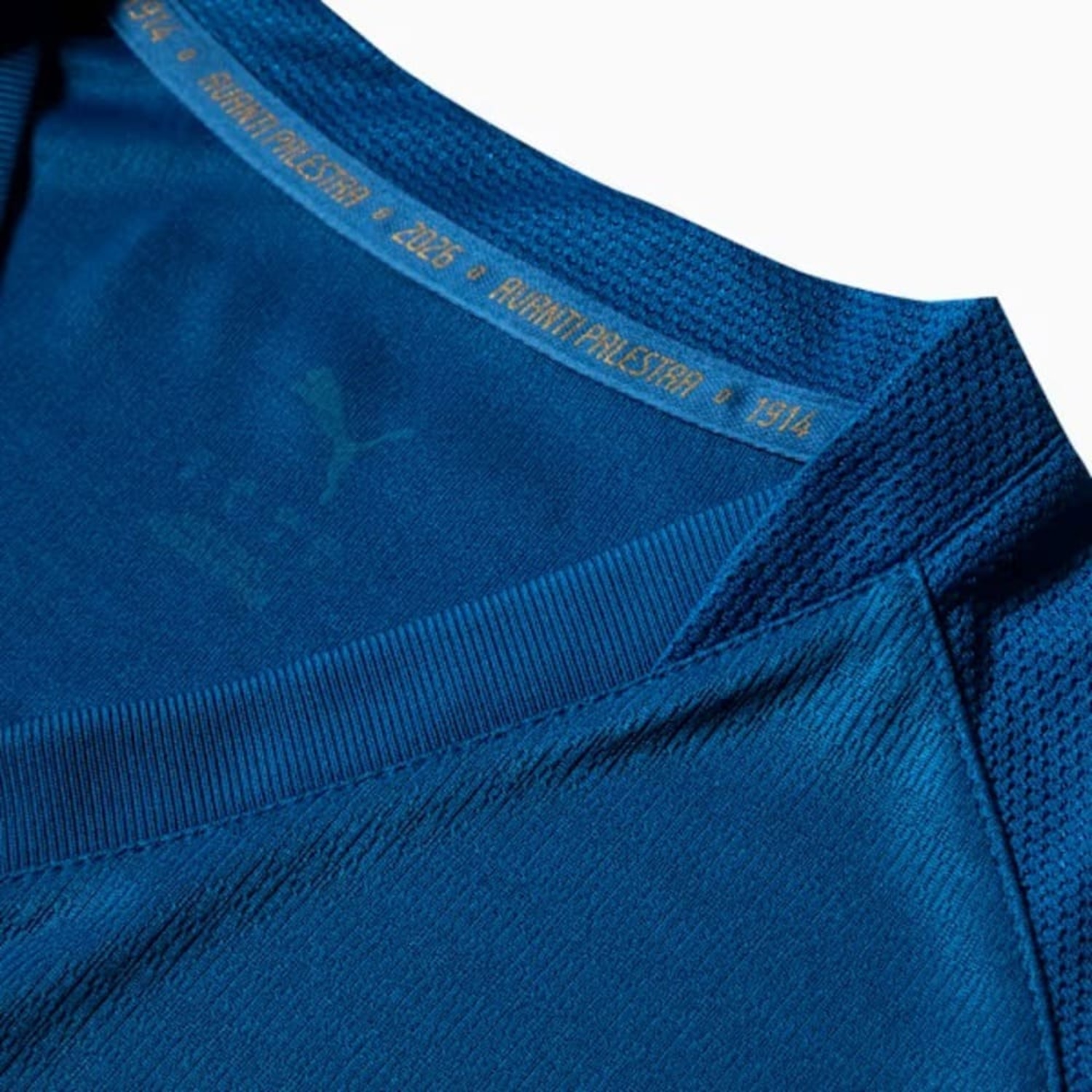 Camisa do Palmeiras III 26/27 Jogador Puma Masculina - Foto 3