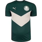 Camiseta do Palmeiras Masculina Puma Sep Prematch Jersey (Escudo) VERDE/CINZA