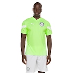 Camisa de Treino do Palmeiras 23 Puma Masculina Torcedor VERDE