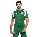 Camisa do Palmeiras 24 Puma Masculina Pré Jogo VERDE