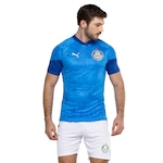 Camisa de Treino do Palmeiras 24 Puma Masculina AZUL