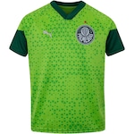 Camisa de Treino do Palmeiras 24 Puma Juvenil VERDE