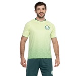 Camiseta do Palmeiras Masculina Power II VERDE ESC/VERDE CLA