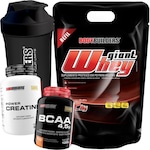 Kit Giant Whey Protein Bodybuilders - Morango - Refil - 2kg + BCAA 100g + Creatina 300g + Coqueteleira Nao Se Aplica