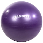 Bola de Pilates Suíça YangFit com Bomba de Encher - 65cm ROXO