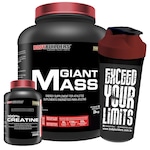 Kit Para Força - Massa Bodybuilders - 3kg + Creatina + Coqueteleira Nao Se Aplica