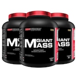 Kit Giant Mass Bodybuilders - Morango - 3kg - 3 unidades Morango