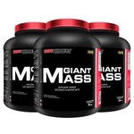 Kit Giant Mass Bodybuilders - Chocolate - 3kg - 3 unidades Chocolate