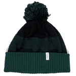 Gorro Rip Curl Pepper Beanie VERDE