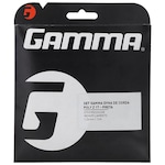 Corda Gamma Dyna Poly Z 17L 1.24mm - Set Individual PRETO