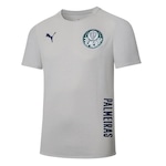 Camisa do Palmeira Puma Sep Casuals Tee - Júnior AZUL