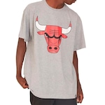 Camiseta NBA Chicago Bulls CINZA