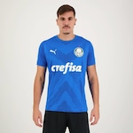 Camisa do Palmeiras Goleiro I 2023 21 Weverton Puma - Masculina AZUL