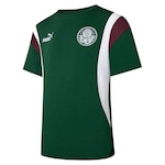 Camiseta do Palmeiras Puma - Feminina VERDE ESCURO